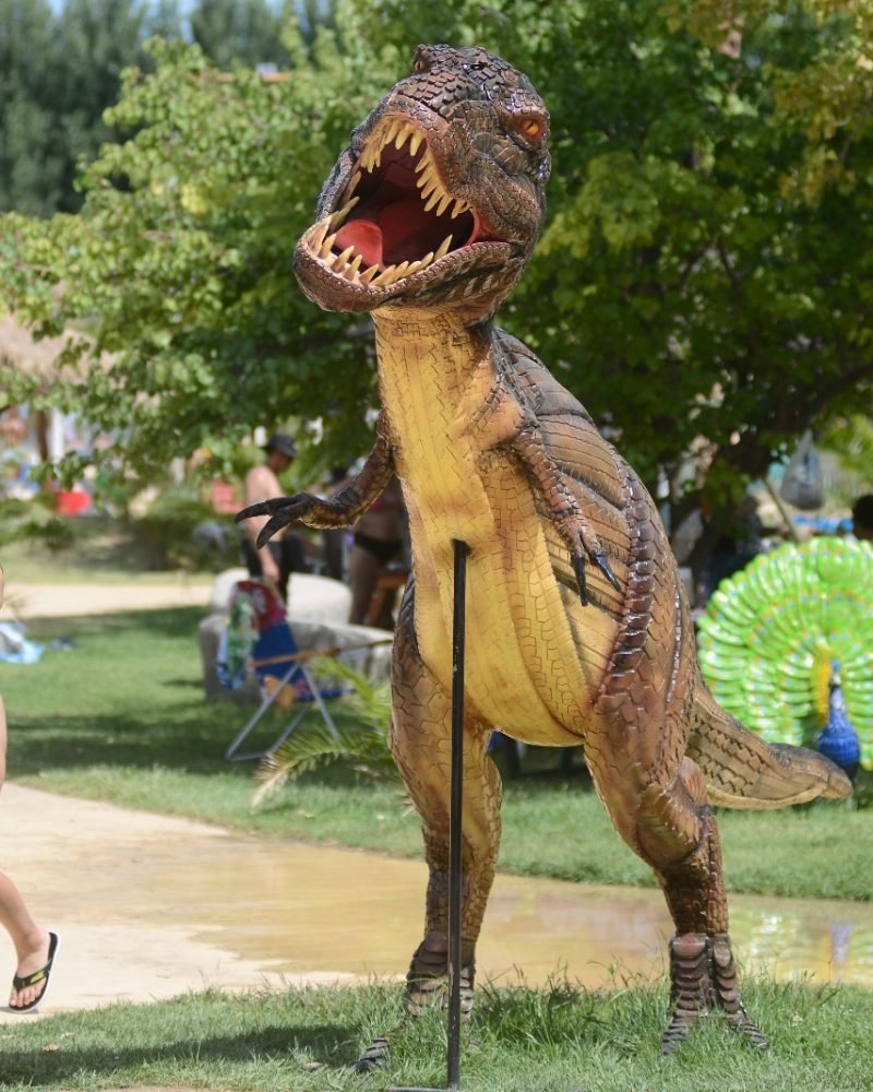 b8fdf235-3414-4a9b-a5e3-d68a5b9e50d1